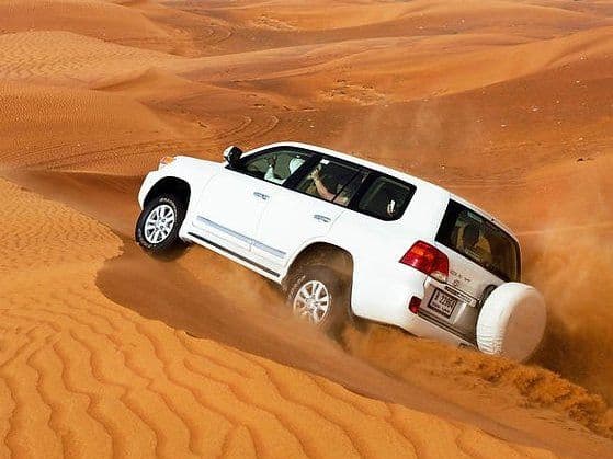 Unmatched Desert Safari Adventures